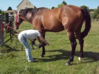 Ténor redonne enfin ses pieds
