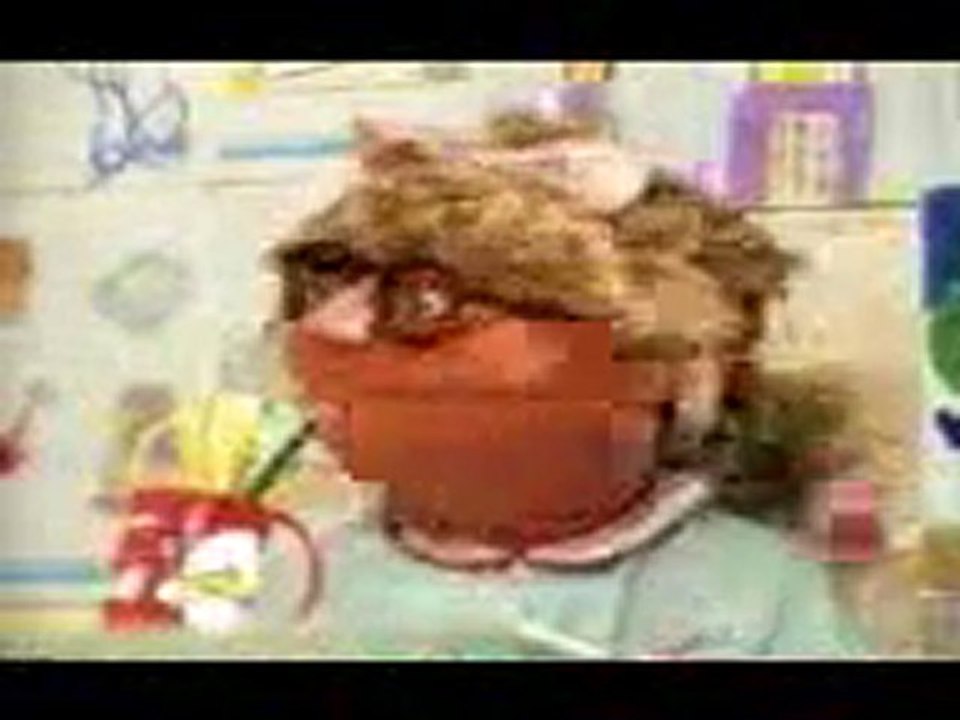 Gitano en la eskuela