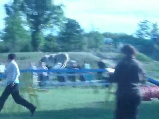 valence taïlee open