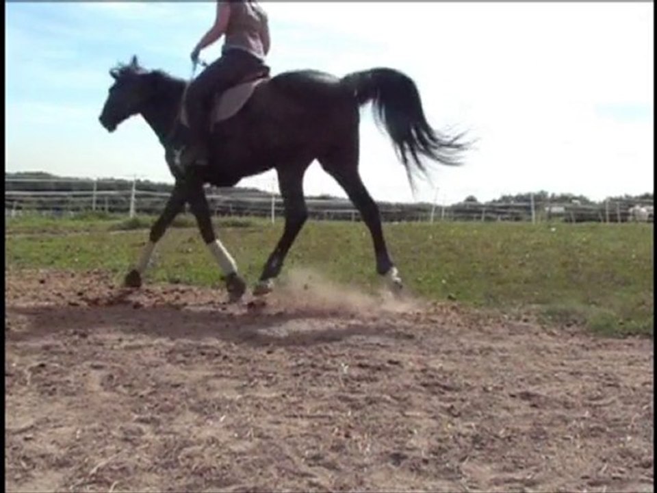 Olten - 2 septembre 2010