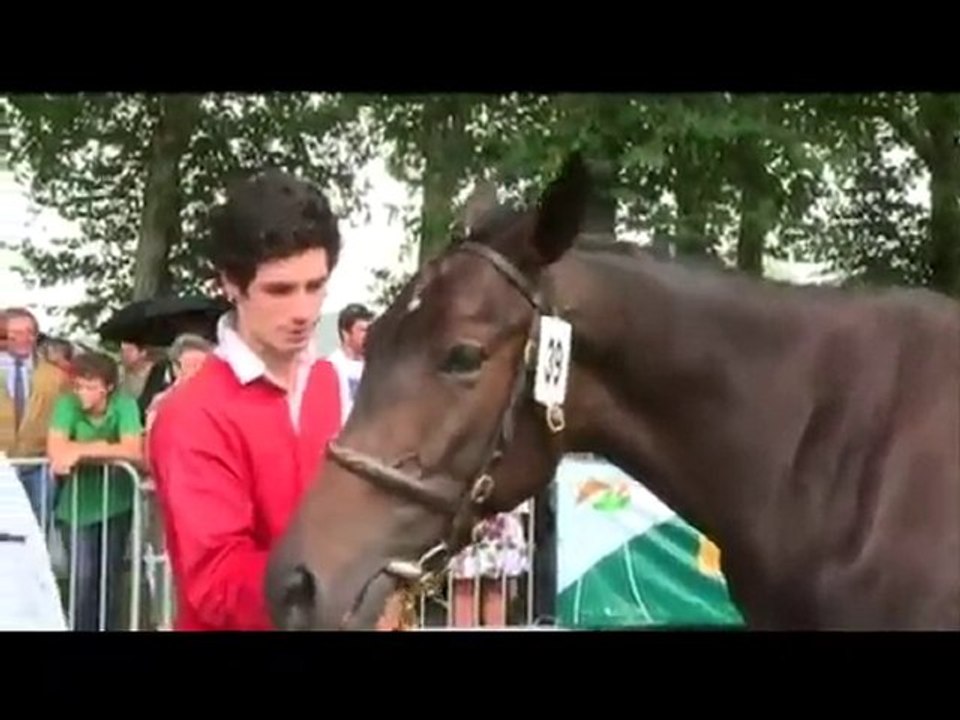 Concours AQPS Decize 2010 : rappel mâles 2 ans