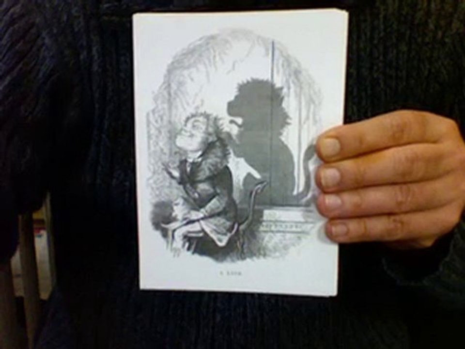 Cartes : SHADOWS