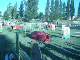 valence jumping taïlee