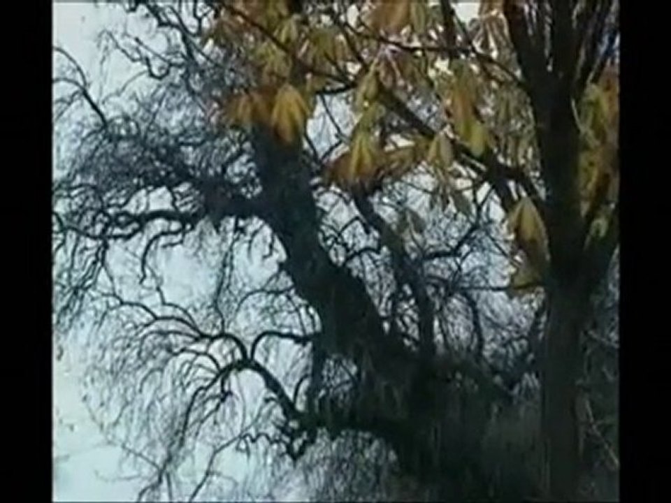 SORDUM SARI ÇİÇEĞE- müziksiz ilahi