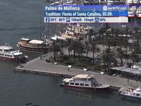 Warsaw - Poland, Amsterdam - Netherlands, Dusseldorf - Germany, Ascona - Ticino - Switzerland, Palma de Mallorca - Spain, Stuttgart - Germany, New York - USA