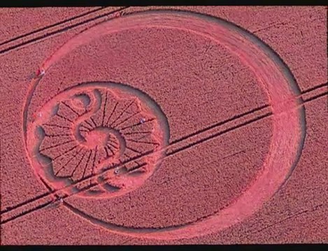 Crop circle Stanton Bridge, Wiltshire 8 août 2010