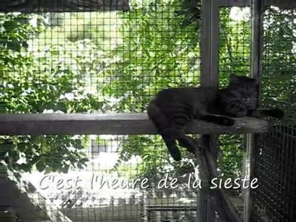 Un aprés-midi du mois d'août 2O1O