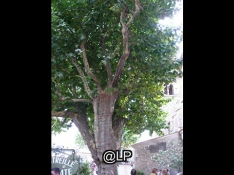 Moustiers-Sainte-Marie