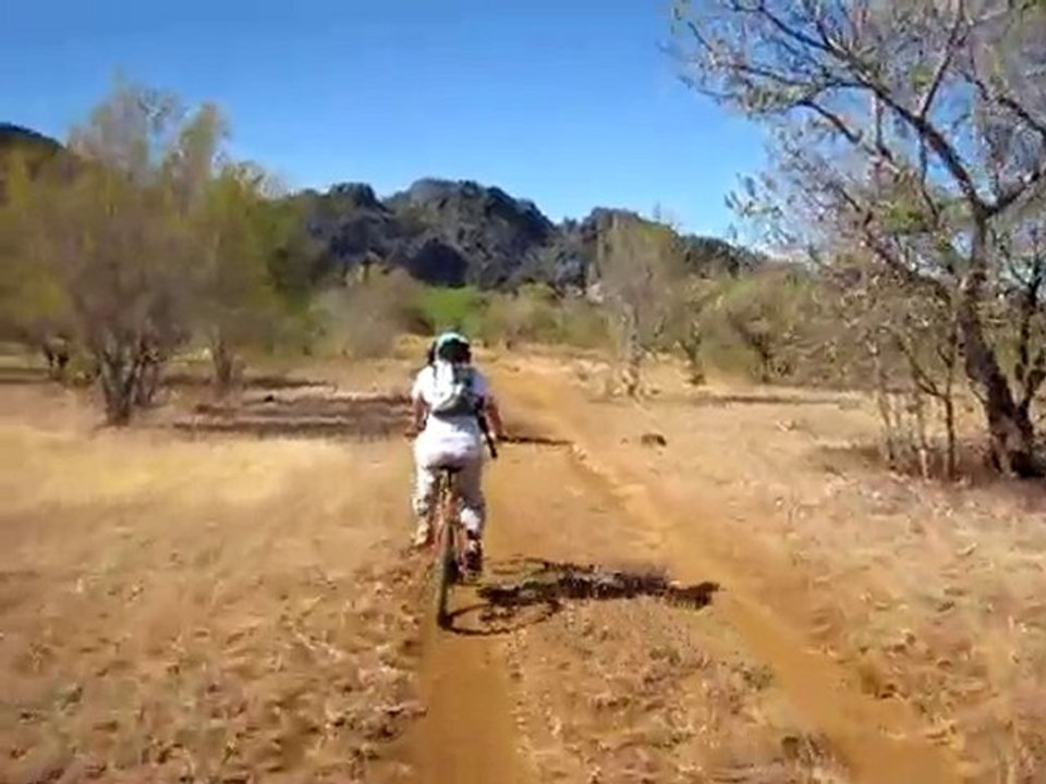 jimbani 45