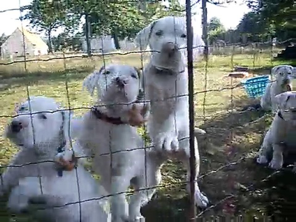 Ahouuuuu ! On a faim !