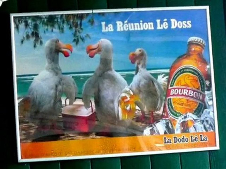 LA REUNION VERSION SEGGAE