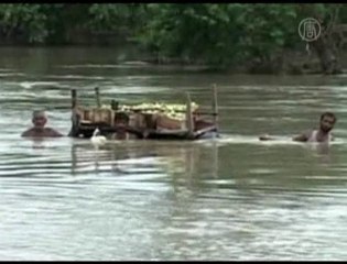 Pakistan Floods Destroy Crops, Costing Billions