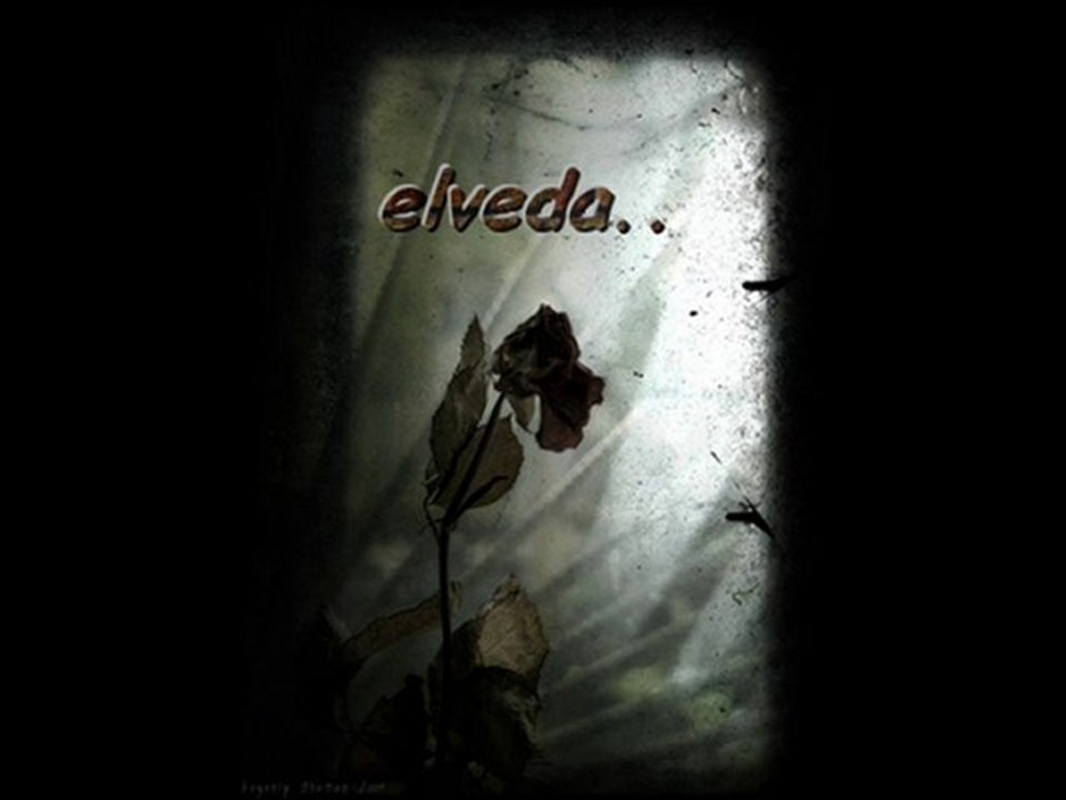 Nil Burak- Elveda