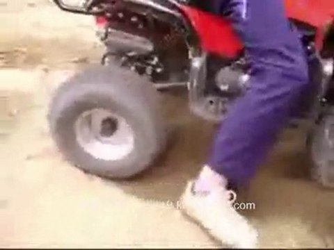 QUAD 110 IMIT GRIZZLY