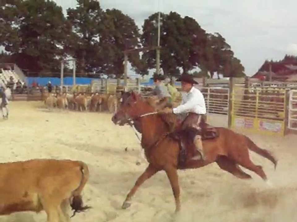 st agreve    2010 184