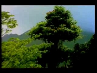 Çevremizde her an her saniye yaşanan mucizeler