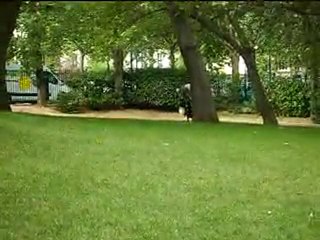 Premier test de recherche utilitaire TAO (Staffy 4 mois)