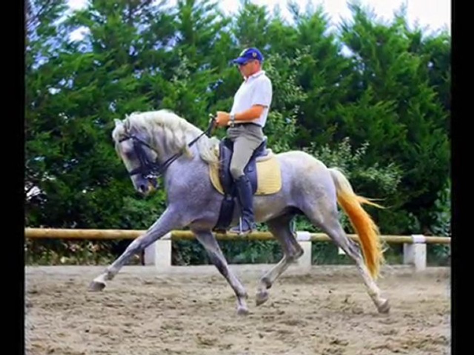DIDIER CAZALET