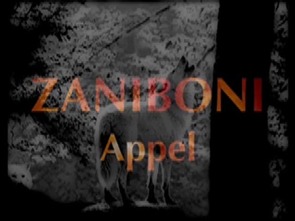 Zaniboni Appel - live