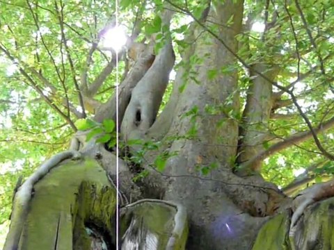 Sculptures-Vivantes à L'Hay les Roses