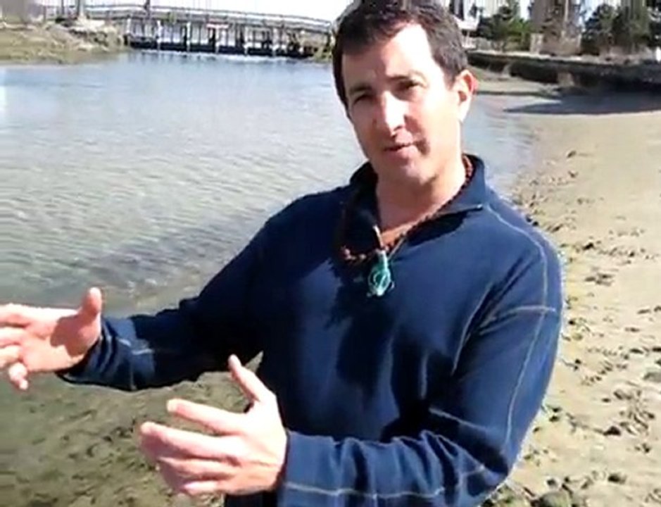 Psychologist, Consultant, & Business Coach - dr brett denki