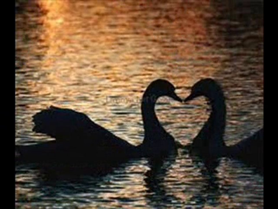 ZEKİ MÜREN - BÖYLE AYRILIK OLMAZ