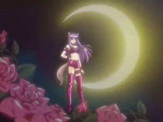 mewmewpower Zakuro transformation
