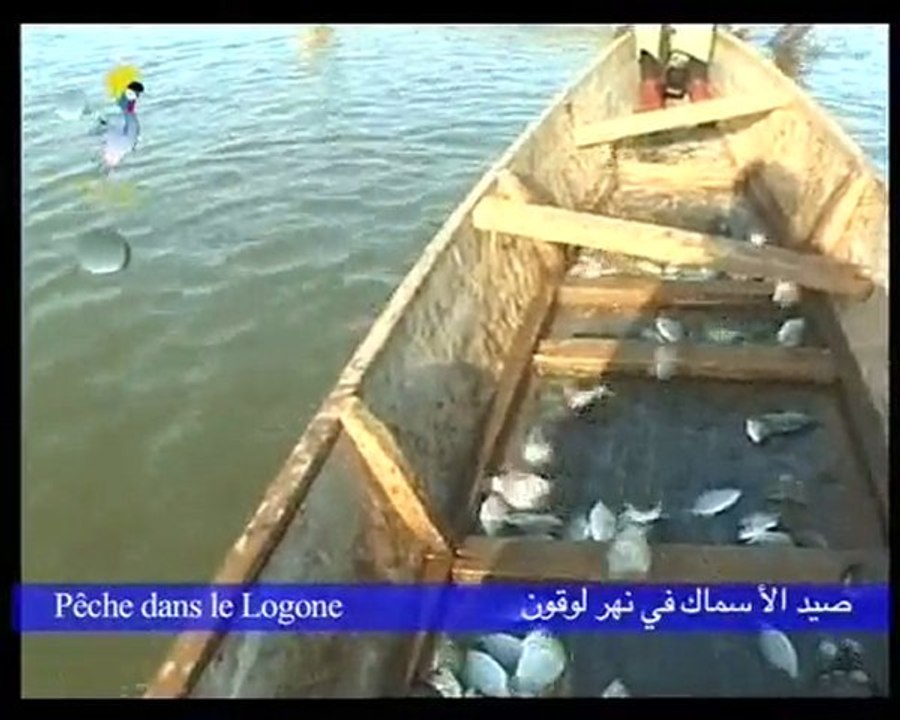 PECHE DANS LE LOGONE DU 21/08/2010 PAR TOL TV