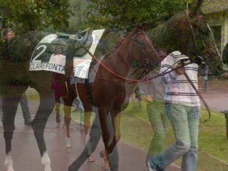 Clairefontaine 170810-2