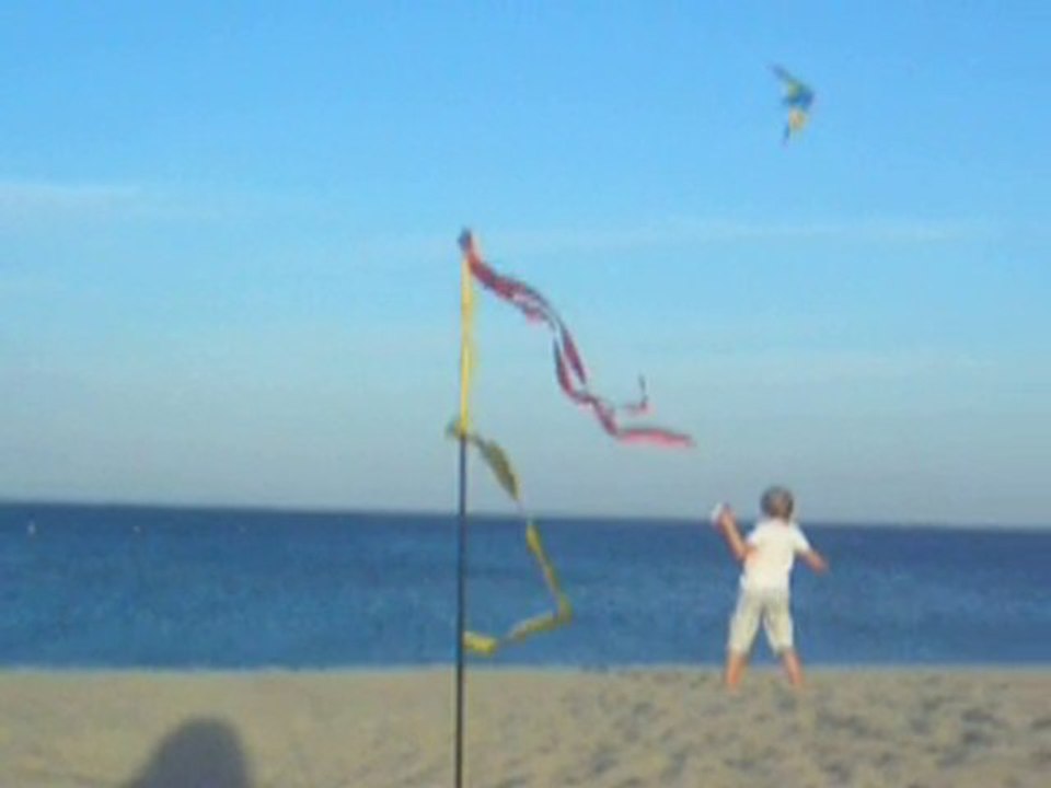 barcarez  2010