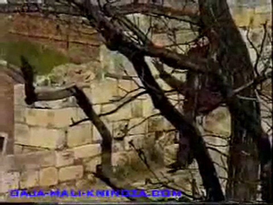 BAJA MALI KNINDZA - BOZIC JE