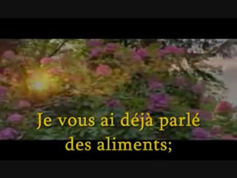 The Muslim Village - Sheikh Imran Hosein Pt. 8