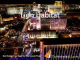 Las Vegas - 10 Must See While Traveling To Las Vegas