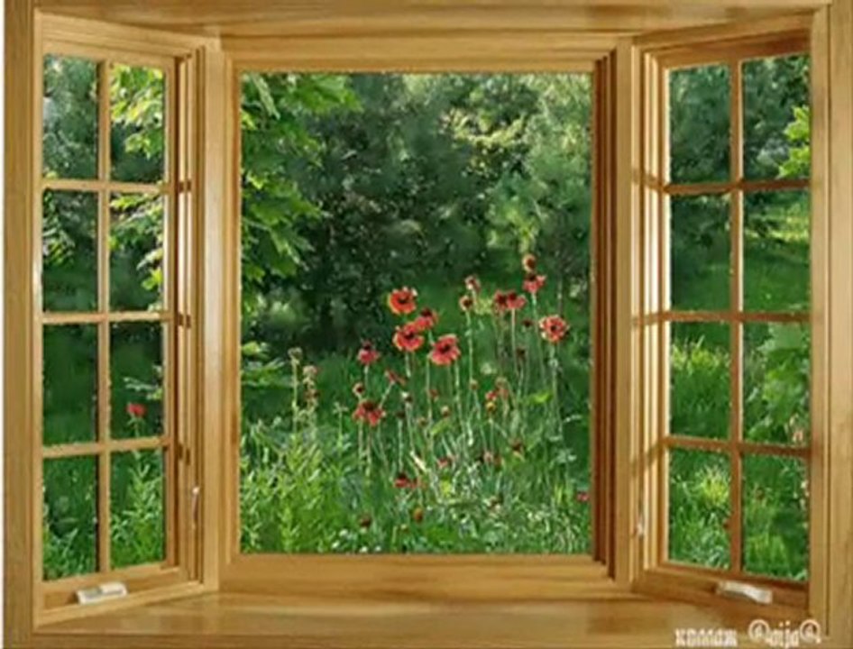 NİLÜFER - CADDELERDE RÜZGAR