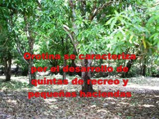 Propiedades Net: What a Great Site!