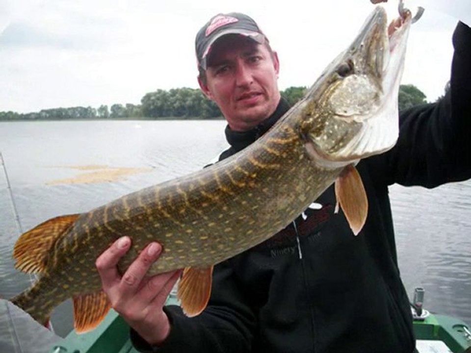 peche au brochet (attention frenesie)