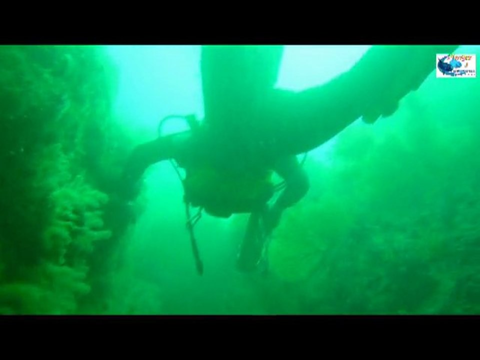 plongée sur ERTE dans l'anse St Martin