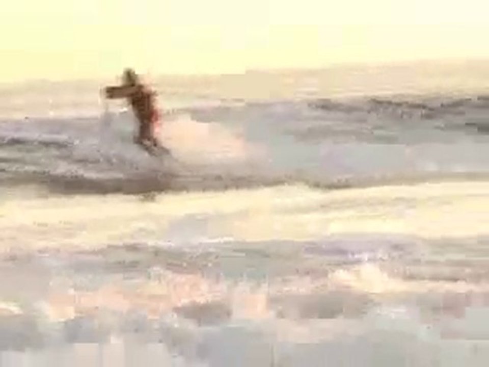dingo surf