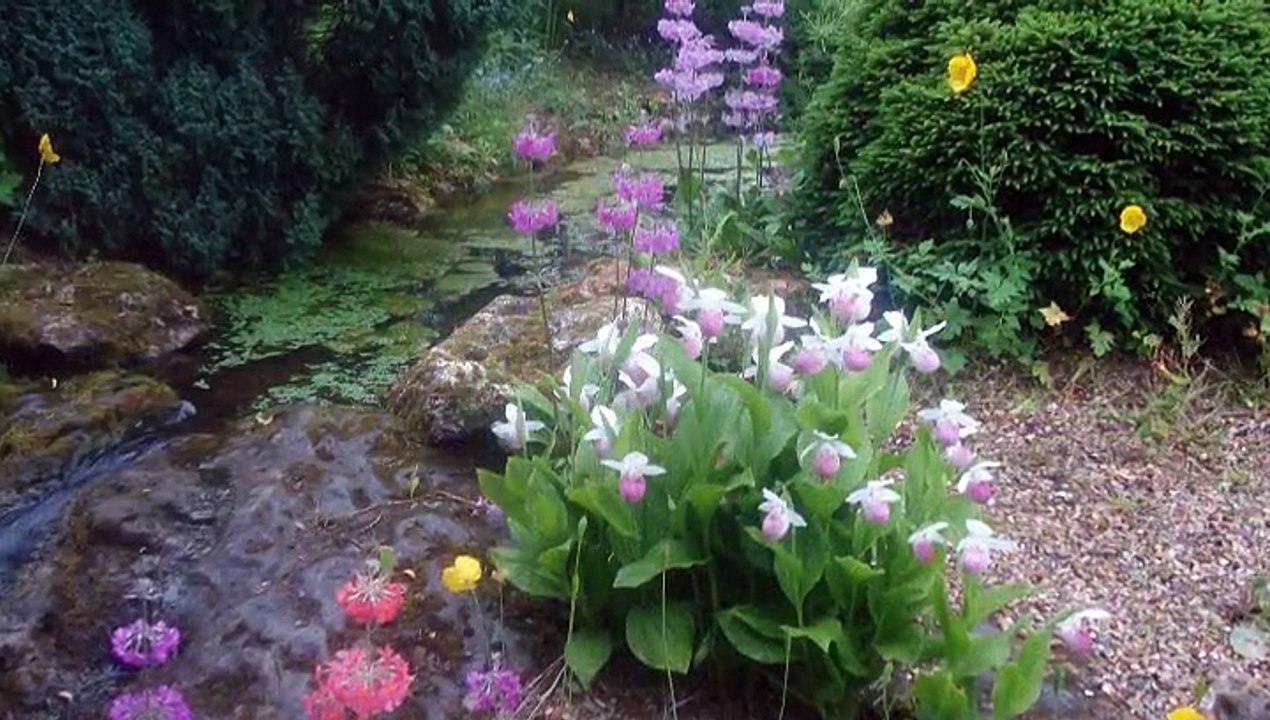 Le Parc Floral du Clos du Coudray-06.10