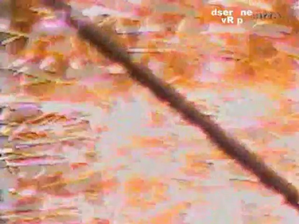 La gestapo - Fonctionnaires et tortionnaires - 10/10