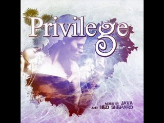 Privilege Ibiza 2010 [Mixed + Unmixed] + download