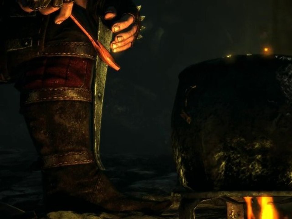 The Witcher 2 - In Game Cutscene