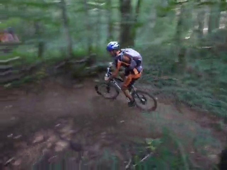 single combe au loup