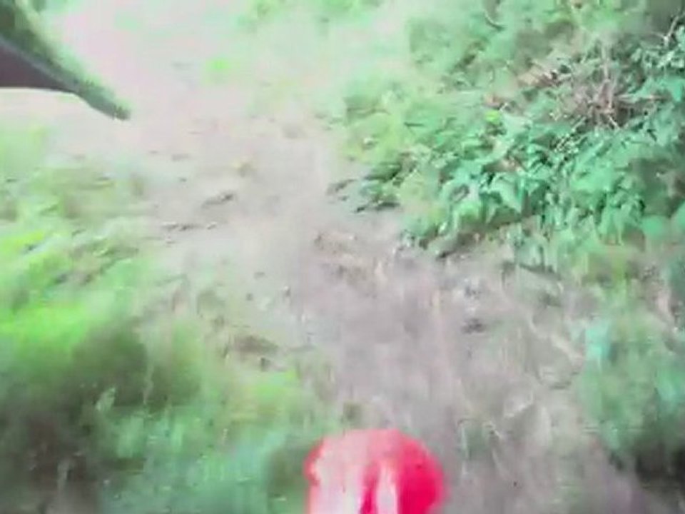 la montée des sapins