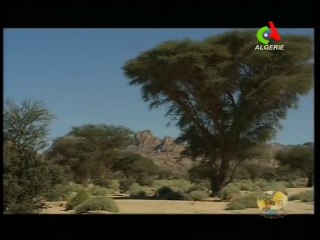 Images d'algérie : Ahaggar - désert du sahara