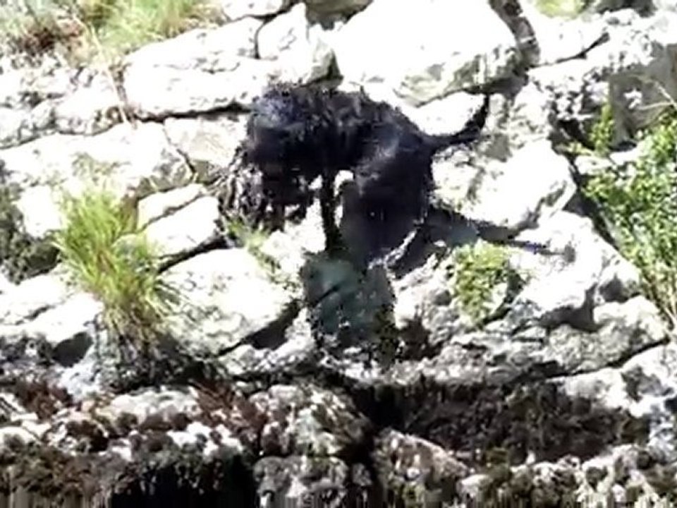 montagne 2010 022