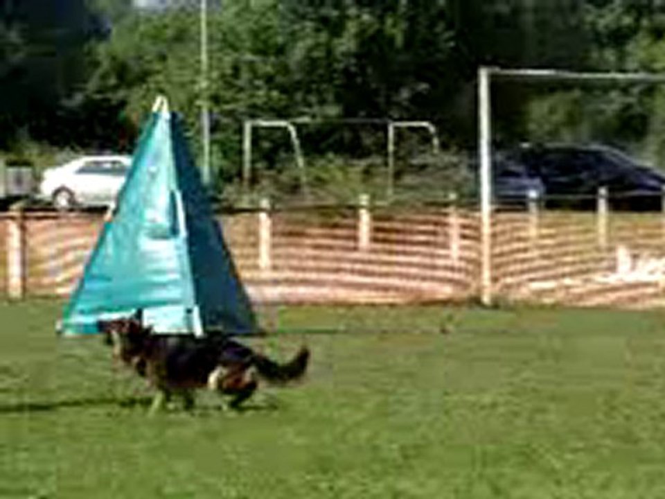 TAU dolche gabana de savage garden