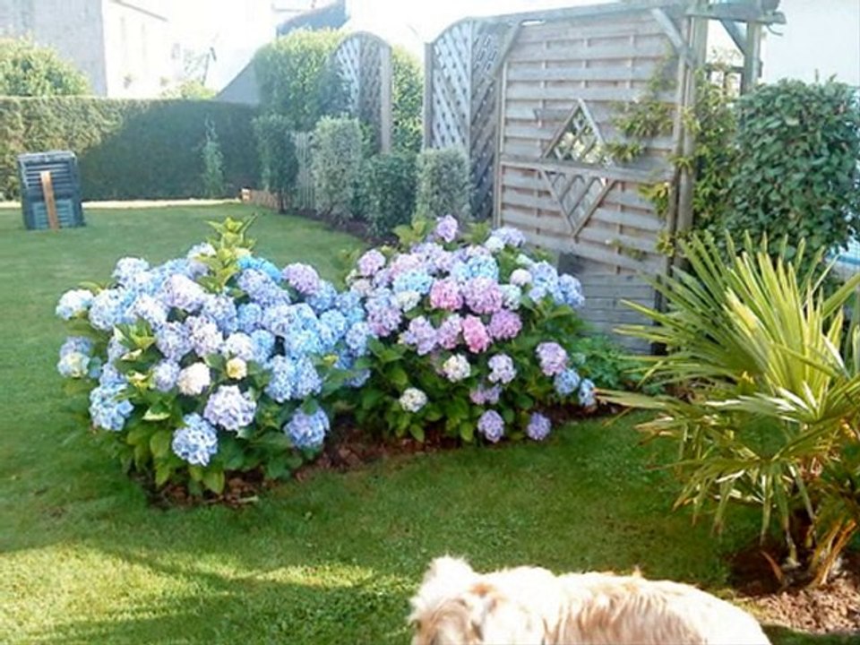 mes vacances en bretagne (act 1)