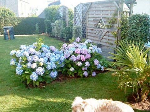 mes vacances en bretagne (act 1)