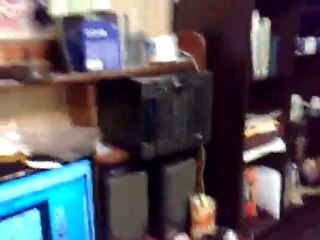 Dance with David Guetta and Fernet: A Fun Fusion 🎶🥃